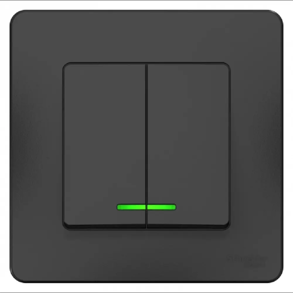 Фото Выключатель встраиваемый Schneider Electric Blanca 2 клавиши с подсветкой цвет антрацит Фото Выключатель встраиваемый Schneider Electric Blanca 2 клавиши с подсветкой цвет антрацит