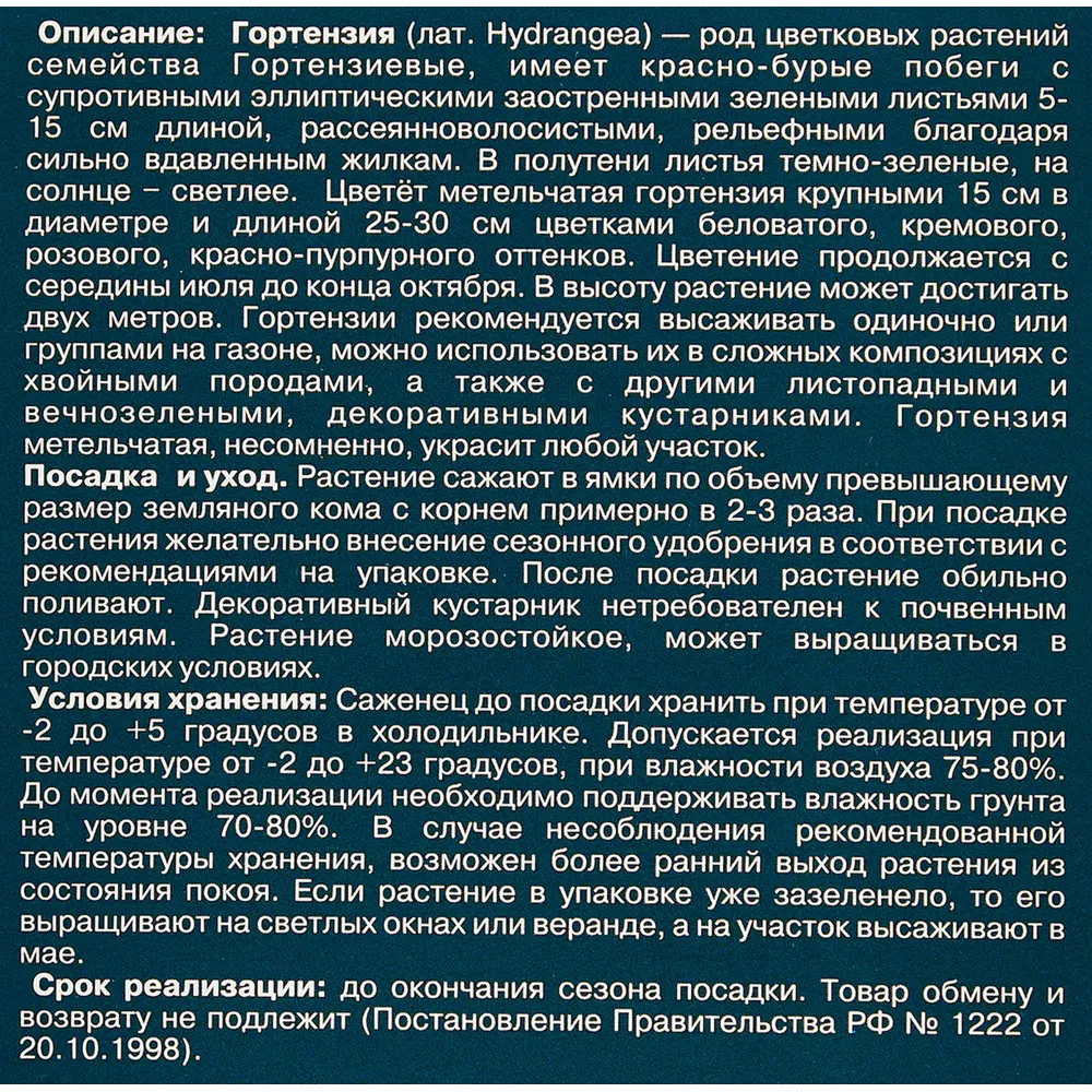 Фото 3 Гортензия Ванила Фрайз ø12 h29 см Фото 3 Гортензия Ванила Фрайз ø12 h29 см