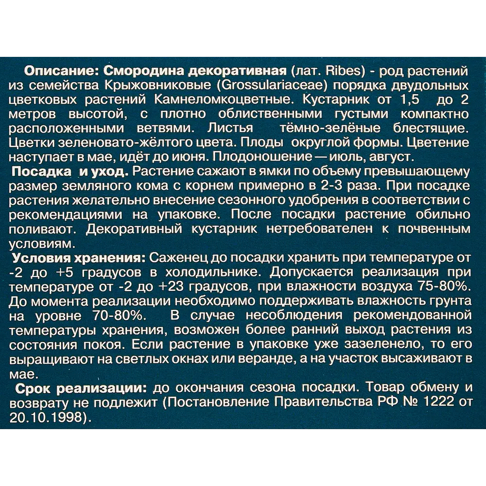 Фото 3 Смородина Видовая норма h30 см Фото 3 Смородина Видовая норма h30 см