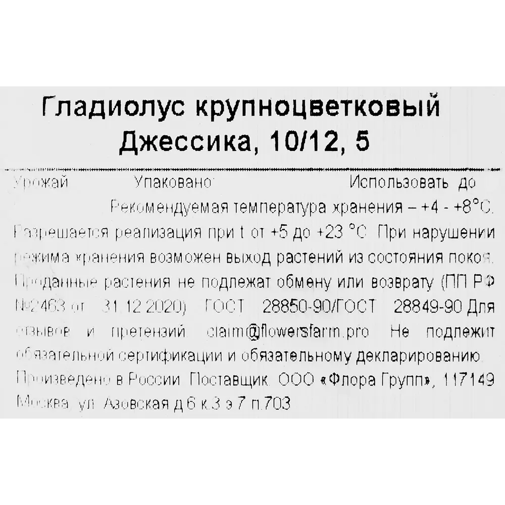 Фото 3 Гладиолус крупноцветковый Джессика Фото 3 Гладиолус крупноцветковый Джессика