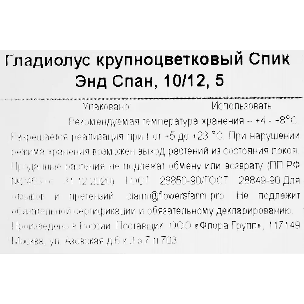 Фото 3 Гладиолус крупноцветковый Спик Энд Спан Фото 3 Гладиолус крупноцветковый Спик Энд Спан