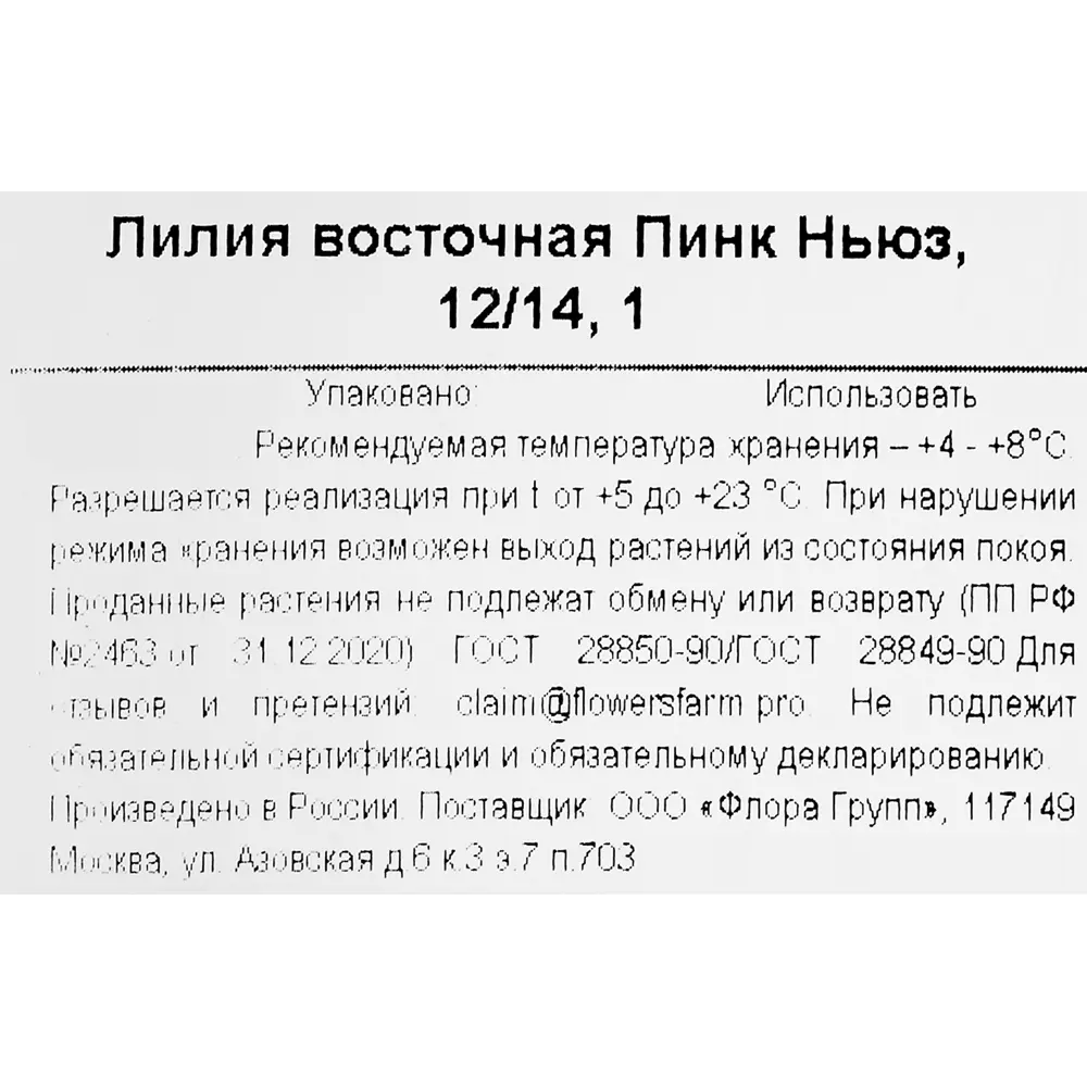 Фото 3 Лилия восточная Пинк Ньюз Фото 3 Лилия восточная Пинк Ньюз
