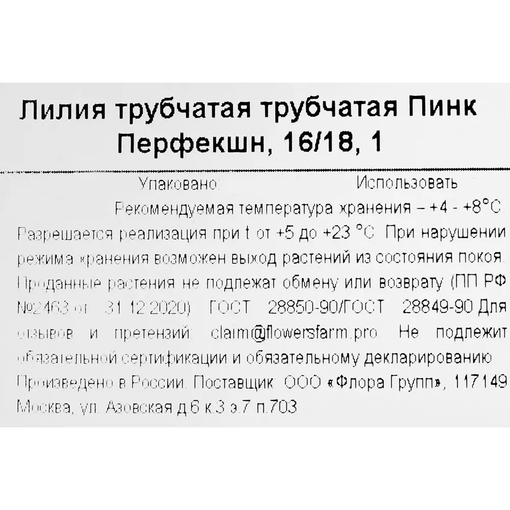 Фото 3 Лилия трубчатая трубчатая Пинк Перфекшн Фото 3 Лилия трубчатая трубчатая Пинк Перфекшн