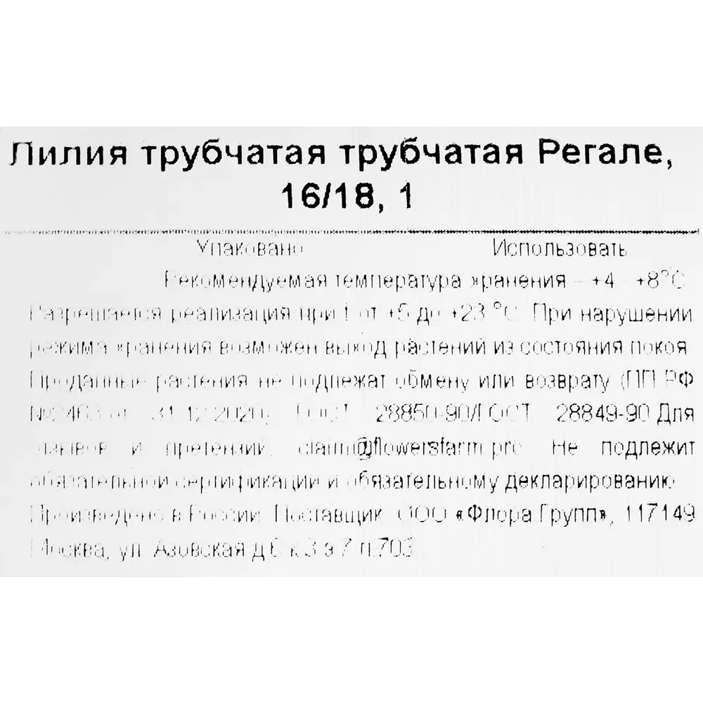 Фото 3 Лилия трубчатая трубчатая Регале Фото 3 Лилия трубчатая трубчатая Регале