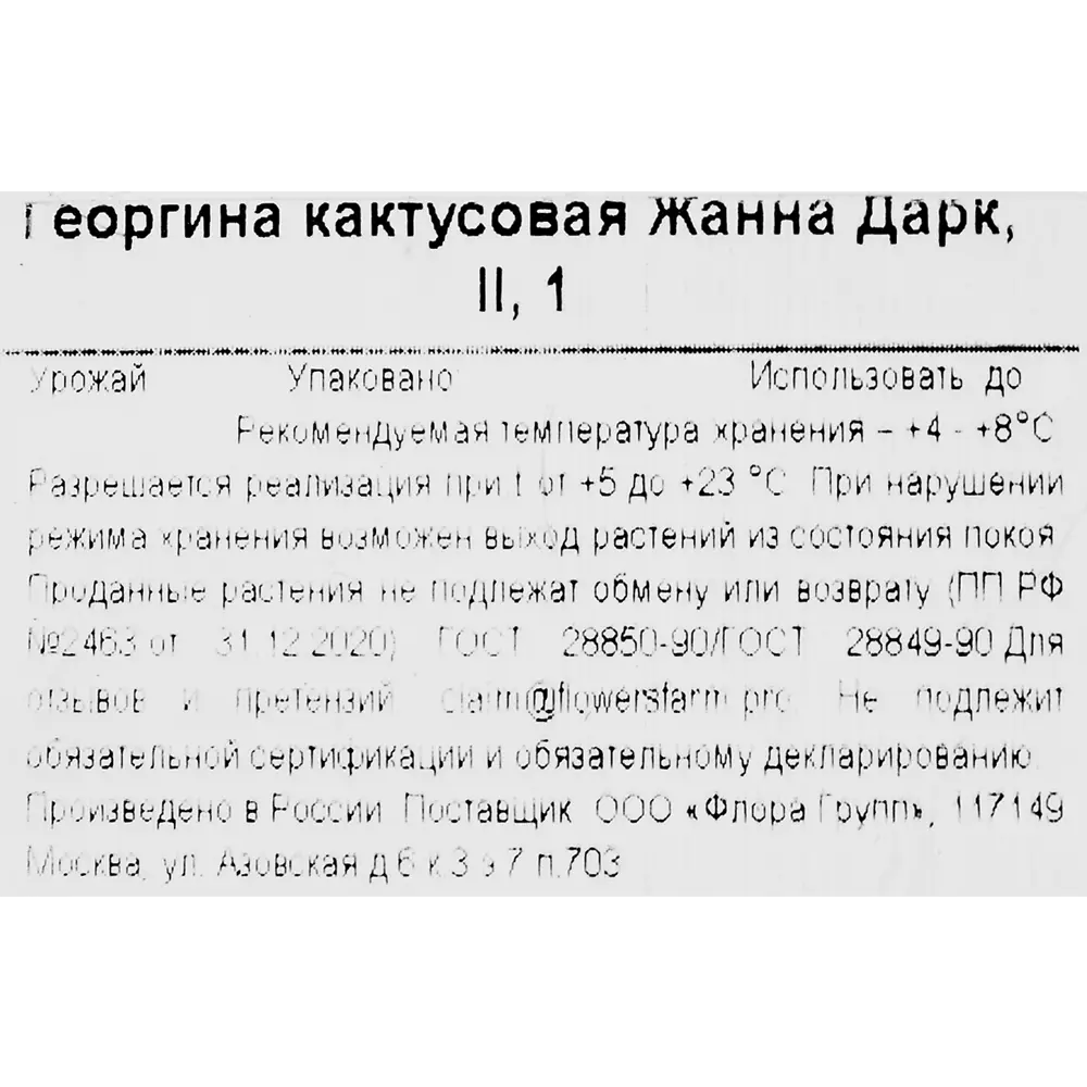 Фото 3 Георгина кактусовая Жанна Дарк Фото 3 Георгина кактусовая Жанна Дарк