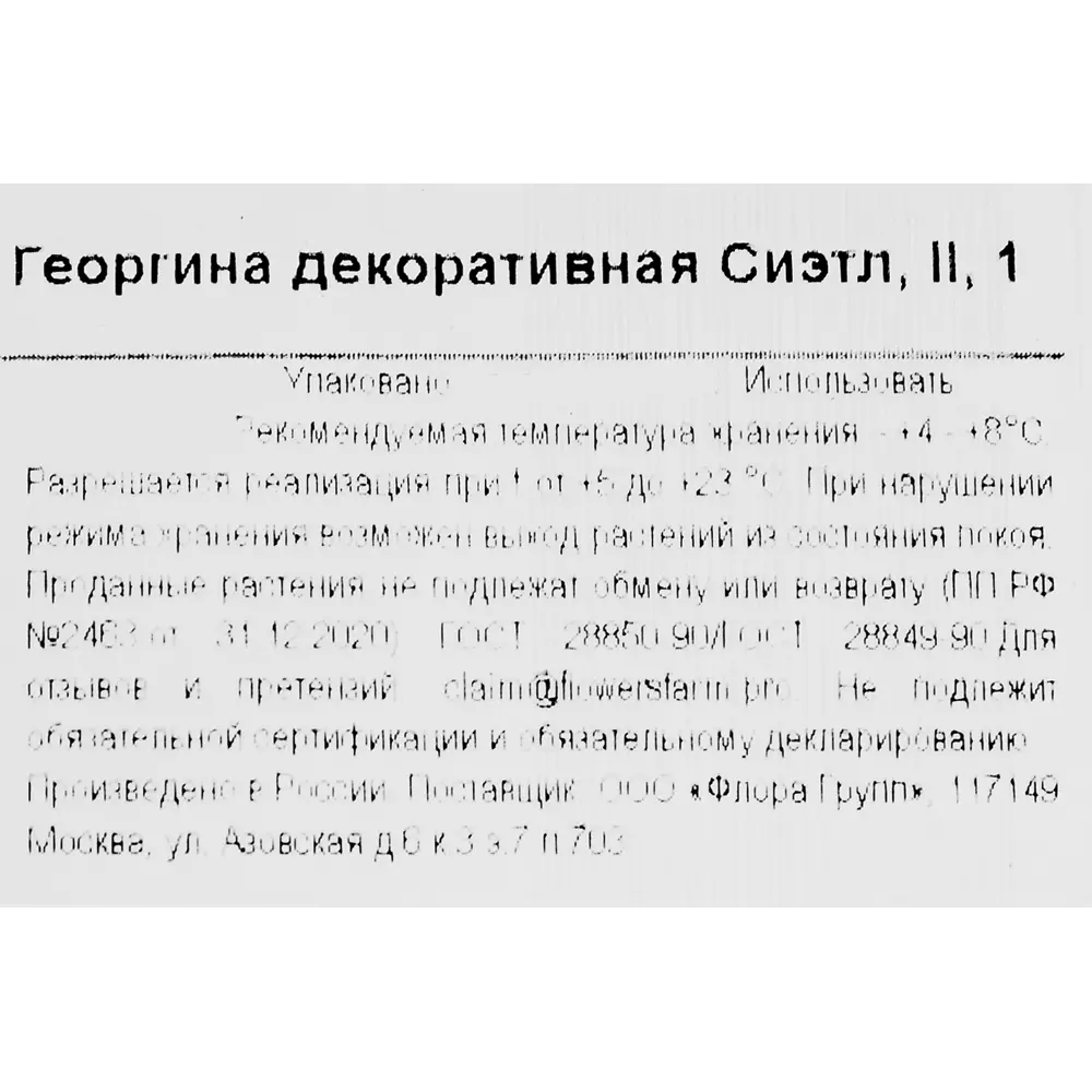 Фото 3 Георгина декоративная Сиэтл h30 см