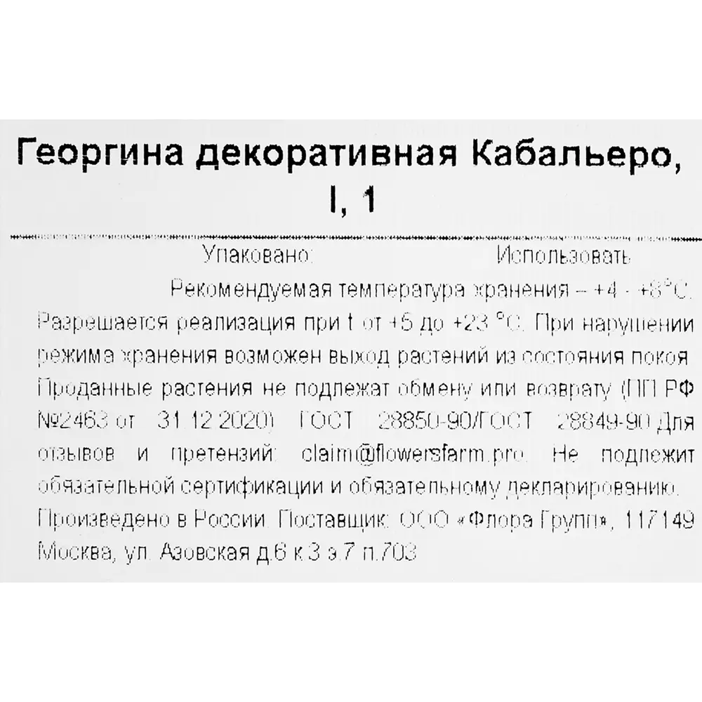 Фото 3 Георгина декоративная Кабальеро Фото 3 Георгина декоративная Кабальеро