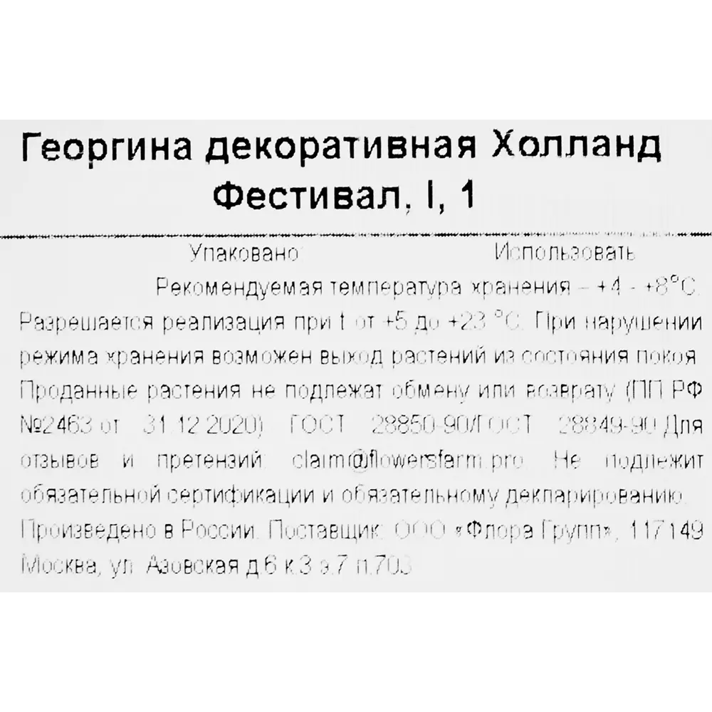 Фото 3 Георгина декоративная Холланд Фестивал Фото 3 Георгина декоративная Холланд Фестивал