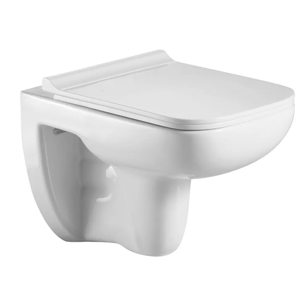 Фото Унитаз подвесной Royal Art 10000003810 безободковый с сиденьем микролифт Фото Унитаз подвесной Royal Art 10000003810 безободковый с сиденьем микролифт