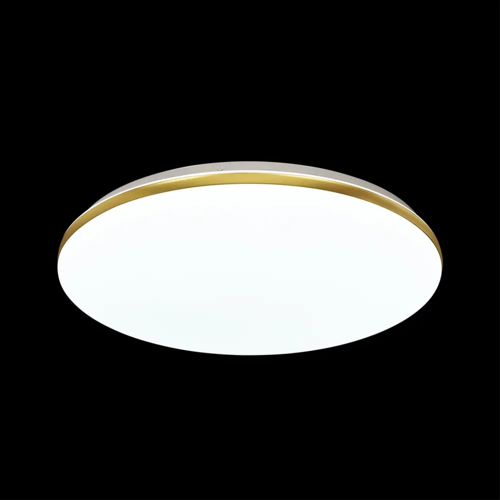 Фото 3 Светильник настенно-потолочный светодиодный СОНЕКС 3043/DL VIVA LED 17 м² теплый белый свет цвет белый Фото 3 Светильник настенно-потолочный светодиодный СОНЕКС 3043/DL VIVA LED 17 м² теплый белый свет цвет белый