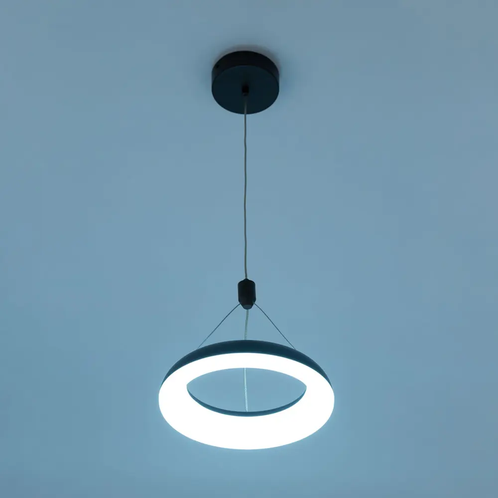 Фото 9 Светильник подвесной светодиодный Citilux Паркер CL225B115 LED Фото 9 Светильник подвесной светодиодный Citilux Паркер CL225B115 LED