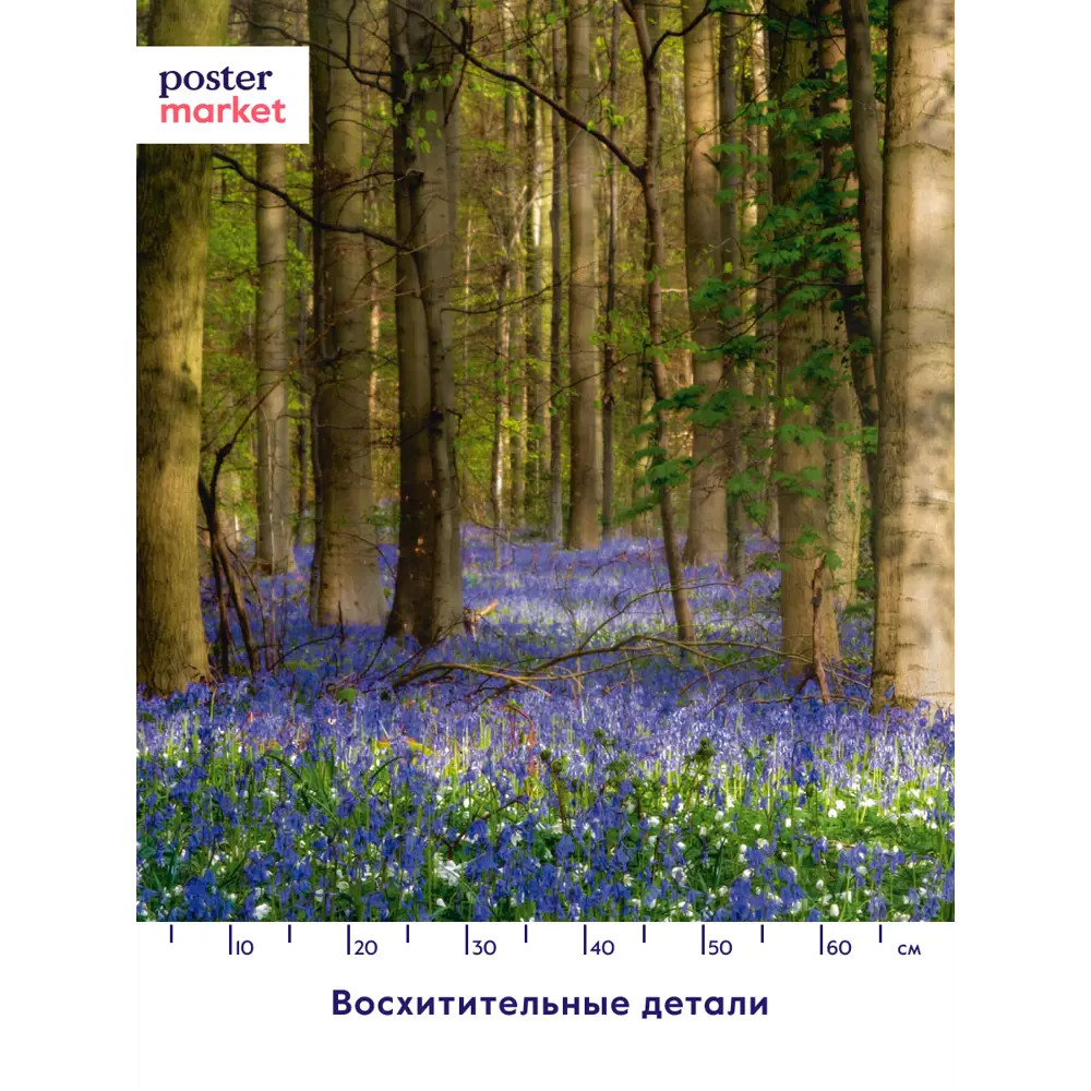 Фото 4 Фотообои бумажные Postermarket 368x254 см Весенний лес Фото 4 Фотообои бумажные Postermarket 368x254 см Весенний лес