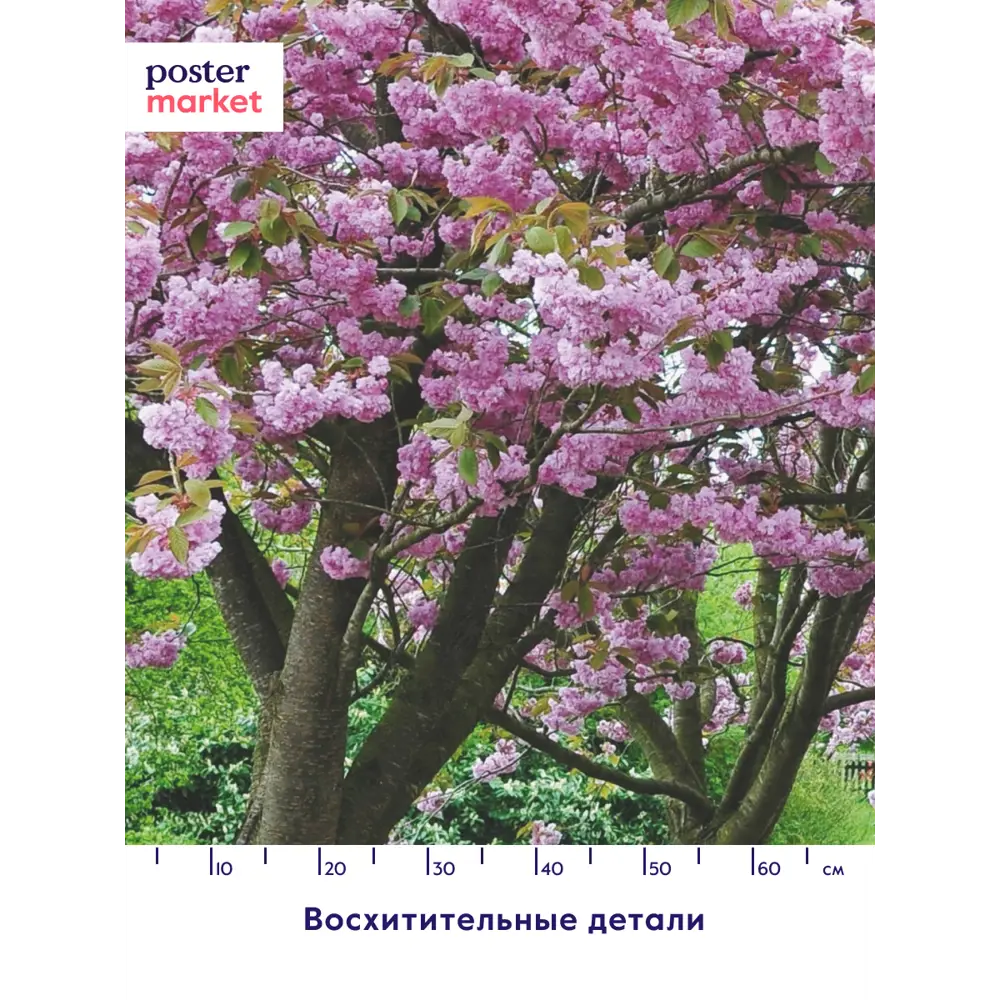 Фото 4 Фотообои бумажные Postermarket 254x184 см Сакура Фото 4 Фотообои бумажные Postermarket 254x184 см Сакура