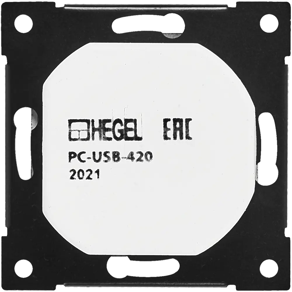 Фото 4 Розетка Hegel USB встраиваемая 3.4 А цвет серебро Фото 4 Розетка Hegel USB встраиваемая 3.4 А цвет серебро