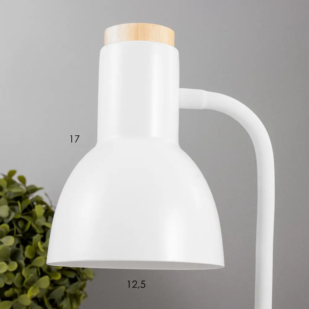 Фото 8 Настольная лампа RISALUX 61TT-1544 цвет белый Фото 8 Настольная лампа RISALUX 61TT-1544 цвет белый