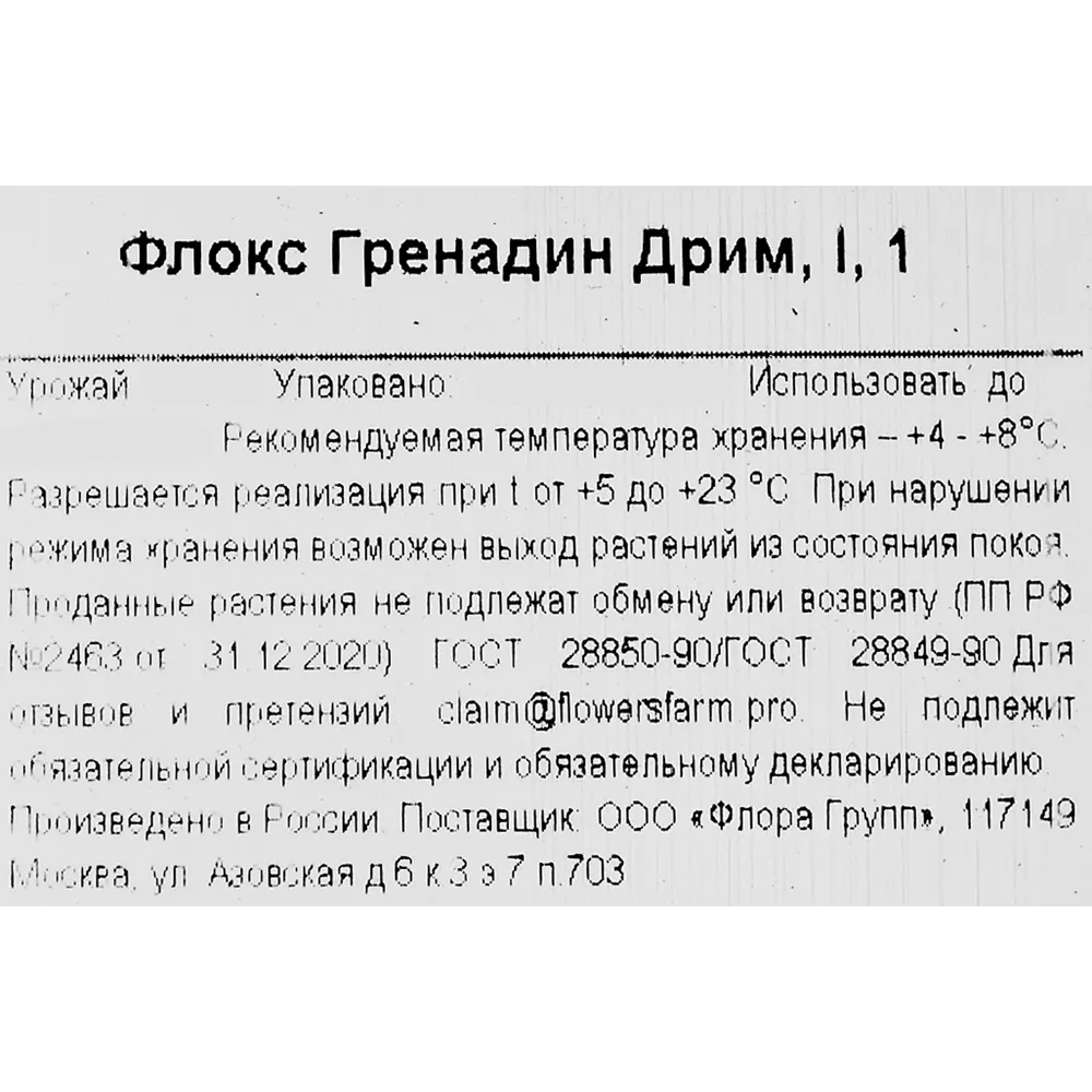 Фото 3 Флокс Гренадин Дрим Фото 3 Флокс Гренадин Дрим