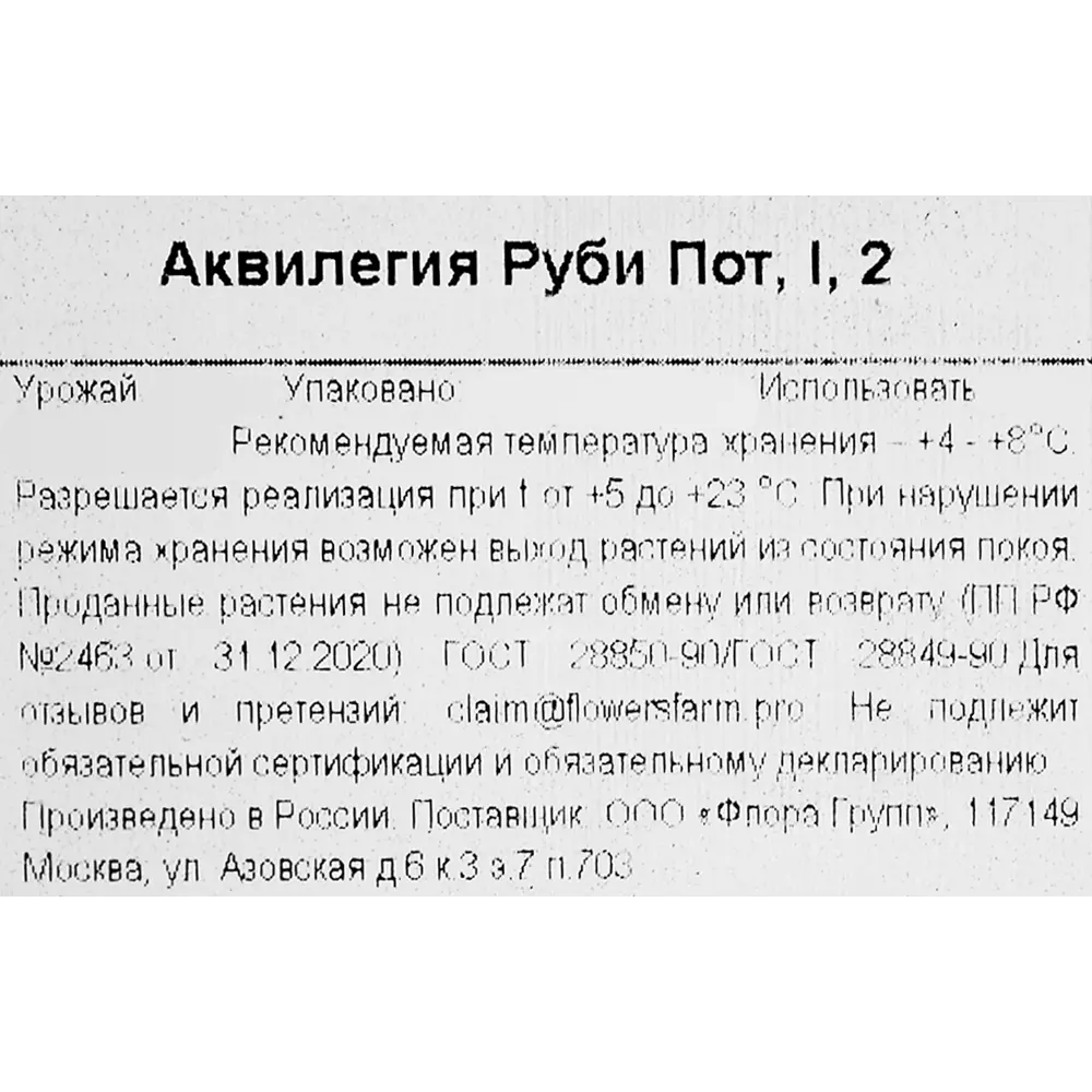 Фото 3 Аквилегия Руби Пот Фото 3 Аквилегия Руби Пот