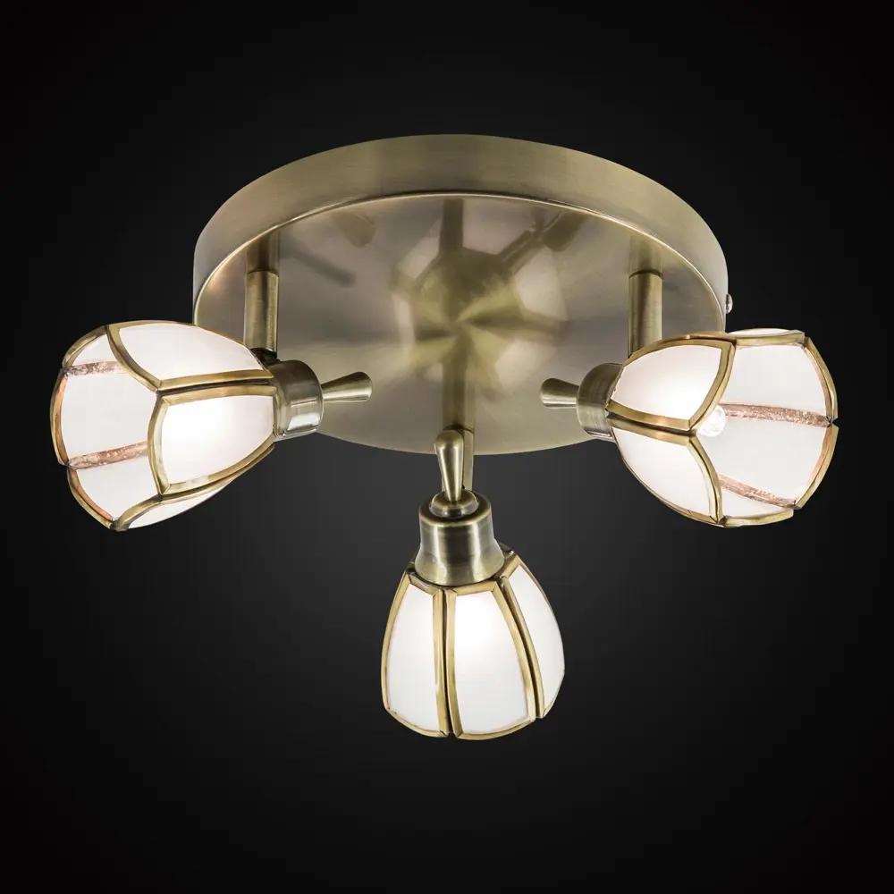 Фото 2 Светильник настенно-потолочный Citilux Альтен CL522531 3 лампы цвет бежевый Фото 2 Светильник настенно-потолочный Citilux Альтен CL522531 3 лампы цвет бежевый