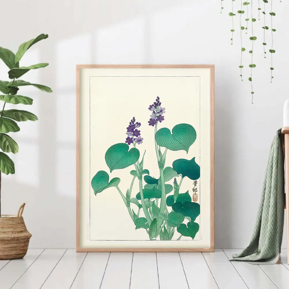 Фото Постер 28 картин Цветущая хоста Ботаническая иллюстрация 50x40 см в тубусе без рамы Фото Постер 28 картин Цветущая хоста Ботаническая иллюстрация 50x40 см в тубусе без рамы