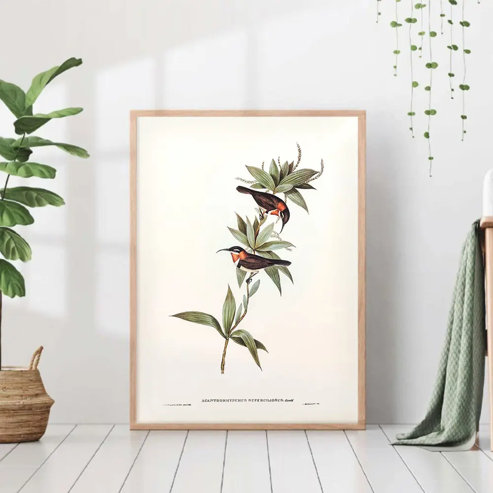 Фото Постер 28 картин "Ветка с птицами ретро иллюстрация" 70x50 см в тубусе без рамы