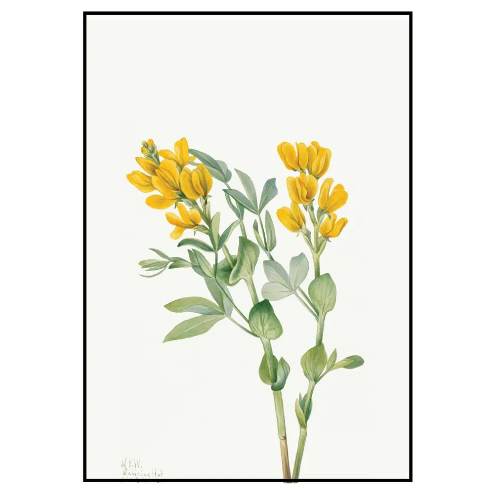 Фото 2 Постер 28 картин "Желтые цветы" 70x50 см в тубусе без рамы Фото 2 Постер 28 картин "Желтые цветы" 70x50 см в тубусе без рамы