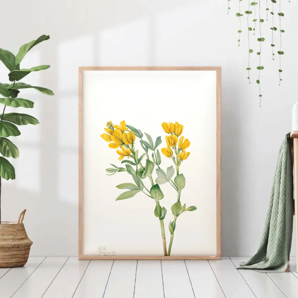 Фото Постер 28 картин "Желтые цветы" 70x50 см в тубусе без рамы Фото Постер 28 картин "Желтые цветы" 70x50 см в тубусе без рамы