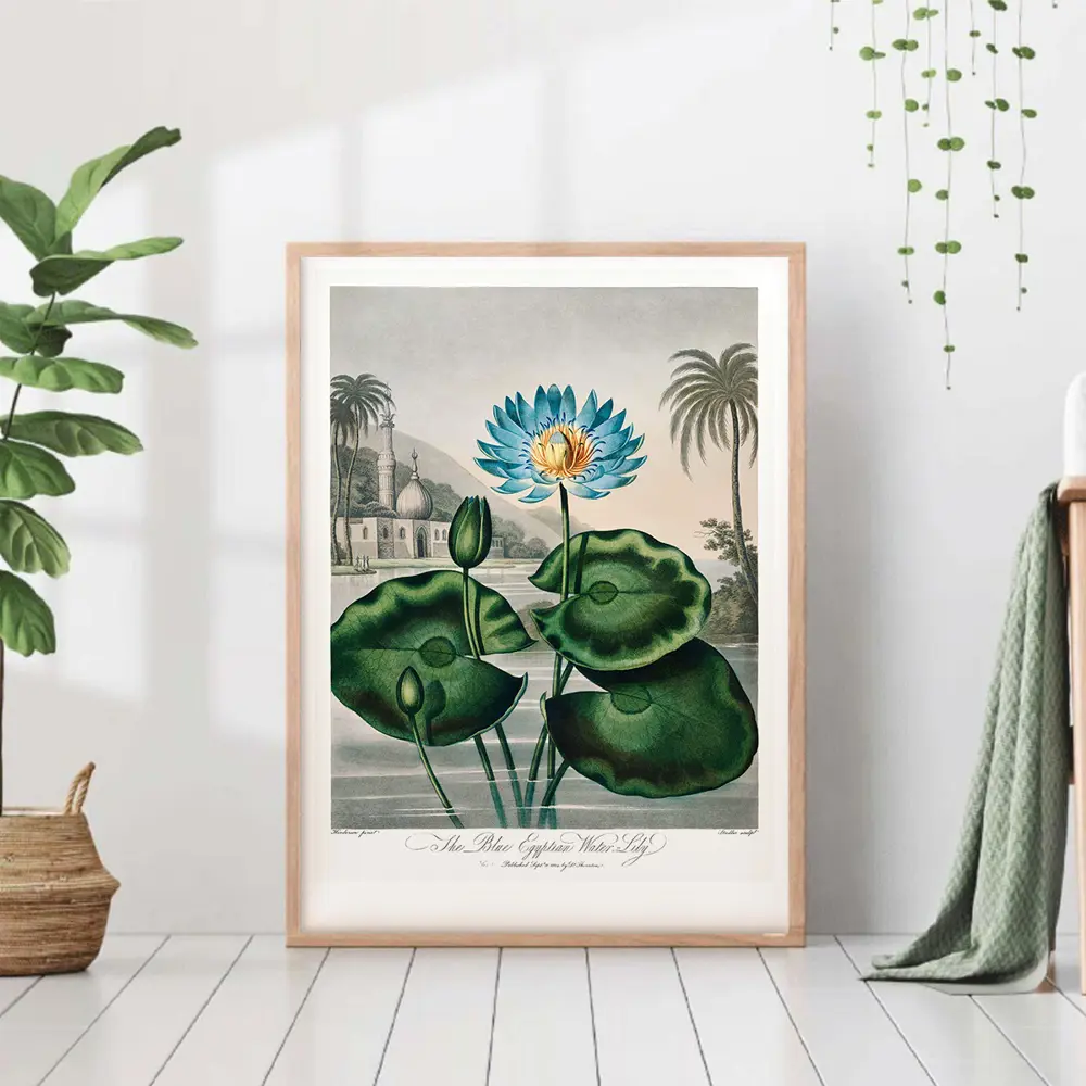 Фото Постер 28 картин "Кувшинка иллюстрация" 70x50 см в тубусе без рамы Фото Постер 28 картин "Кувшинка иллюстрация" 70x50 см в тубусе без рамы