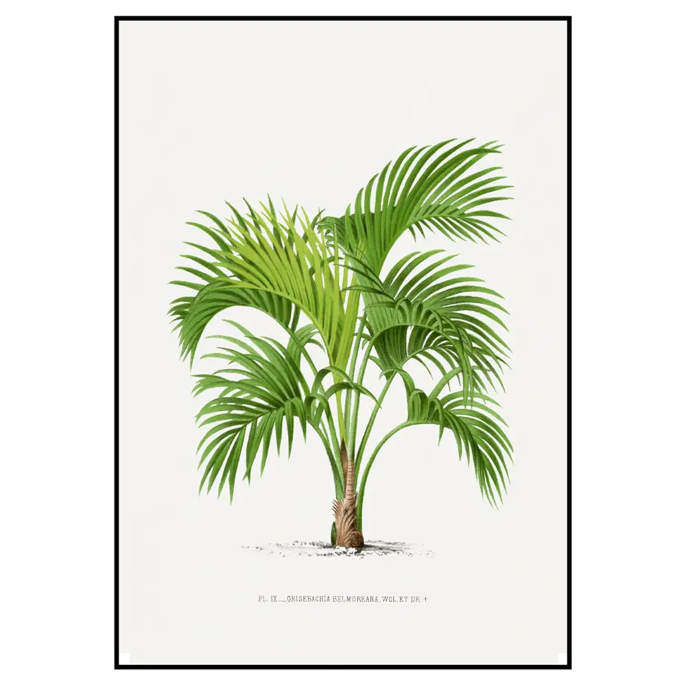 Фото 2 Постер 28 картин "Пальма иллюстрация" 70x50 см в тубусе без рамы Фото 2 Постер 28 картин "Пальма иллюстрация" 70x50 см в тубусе без рамы