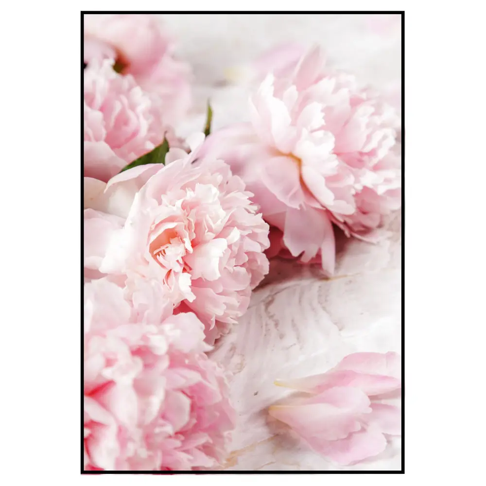 Фото 2 Постер 28 картин "Розовые пионы лепестки" 50x40 см в тубусе без рамы Фото 2 Постер 28 картин "Розовые пионы лепестки" 50x40 см в тубусе без рамы