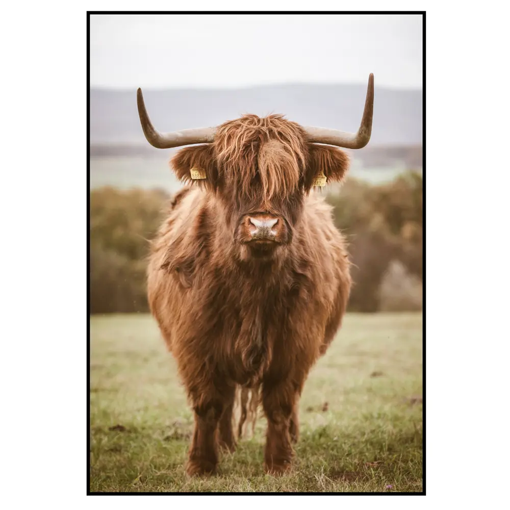 Фото 4 Набор постеров 28 картин "Бык в поле" 70x100 см, 3 шт, в тубусе без рамы Фото 4 Набор постеров 28 картин "Бык в поле" 70x100 см, 3 шт, в тубусе без рамы