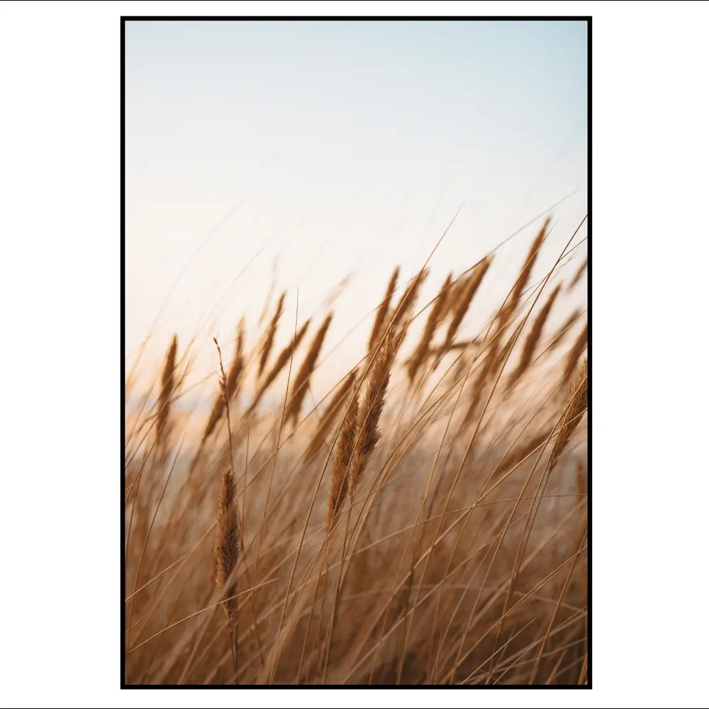 Фото 5 Набор постеров 28 картин "Бык в поле" 70x100 см, 3 шт, в тубусе без рамы Фото 5 Набор постеров 28 картин "Бык в поле" 70x100 см, 3 шт, в тубусе без рамы