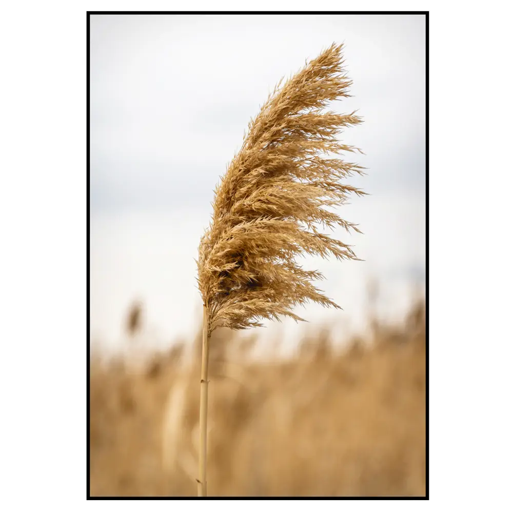 Фото 3 Набор постеров 28 картин "Бык в поле" 70x100 см, 3 шт, в тубусе без рамы Фото 3 Набор постеров 28 картин "Бык в поле" 70x100 см, 3 шт, в тубусе без рамы