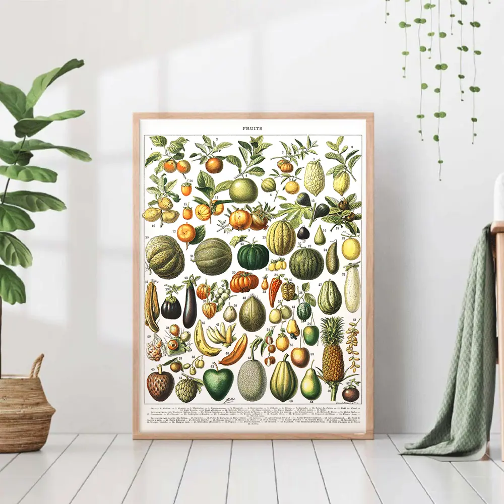 Фото Постер 28 картин "Овощи иллюстрация" 50x40 см, в тубусе без рамы Фото Постер 28 картин "Овощи иллюстрация" 50x40 см, в тубусе без рамы