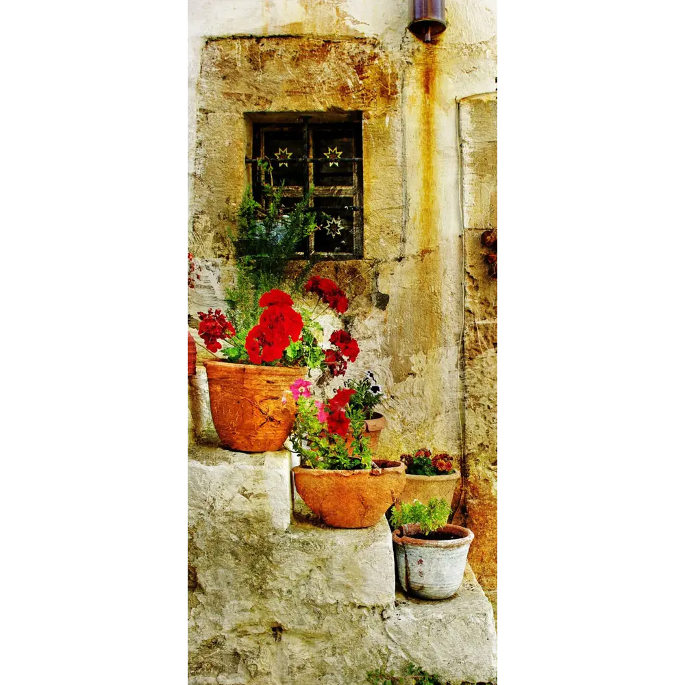 Фото Наклейка для дверей и мебели Wallfix "Цветы в горшках" 95x220 см, W130 Фото Наклейка для дверей и мебели Wallfix "Цветы в горшках" 95x220 см, W130
