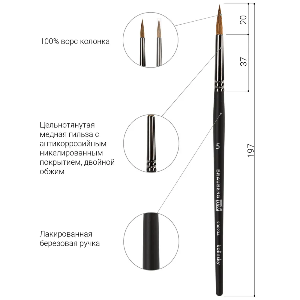 Фото 4 Кисть художественная для рисования профессиональная из натурального ворса Brauberg Art Classic колонок круглая № 5 короткая ручка 200934 Фото 4 Кисть художественная для рисования профессиональная из натурального ворса Brauberg Art Classic колонок круглая № 5 короткая ручка 200934