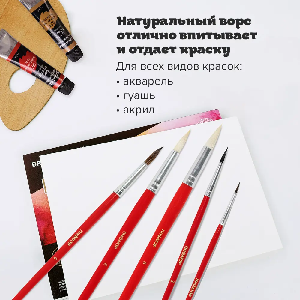 Фото 11 Кисти/кисточки для рисования Пифагор набор из 5 шт (беличья круг.№ 3, из ворса козы круг.№ 6.8, пони кругл. № 2.5) 200231 Фото 11 Кисти/кисточки для рисования Пифагор набор из 5 шт (беличья круг.№ 3, из ворса козы круг.№ 6.8, пони кругл. № 2.5) 200231
