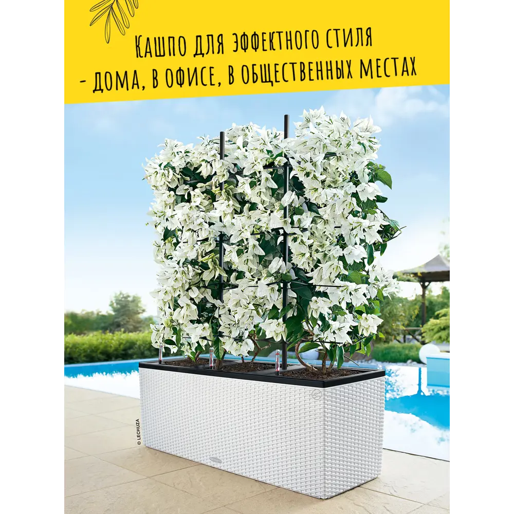 Фото 9 Кашпо напольное с автополивом Lechuza Trio Cottage 30 15007 14 л Фото 9 Кашпо напольное с автополивом Lechuza Trio Cottage 30 15007 14 л