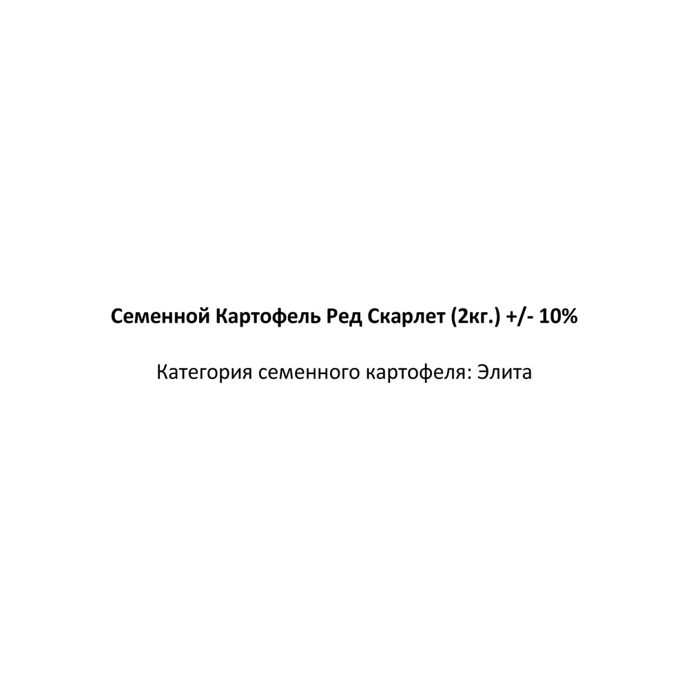 Фото 2 Картофель семенной Ред Скарлет элита 2 кг Фото 2 Картофель семенной Ред Скарлет элита 2 кг