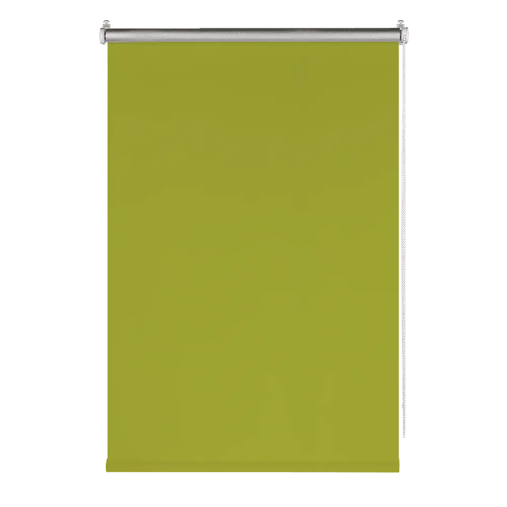Фото Рулонная штора Prakto Blackout Silver 120x160 см цвет зеленый Фото Рулонная штора Prakto Blackout Silver 120x160 см цвет зеленый
