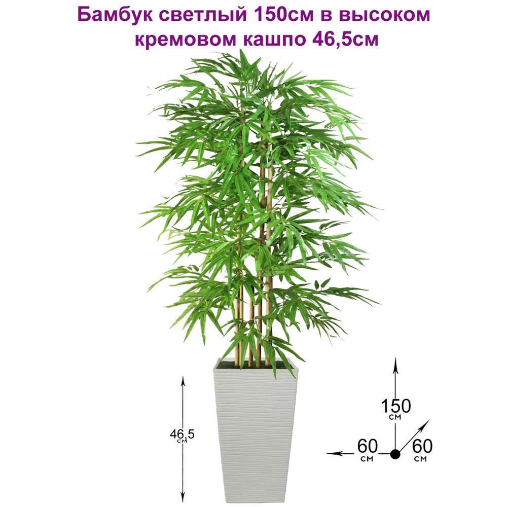 Фото 2 Искусственное дерево ФитоПарк Бамбук 150 см светлый в высоком кремовом кашпо 45 см Фото 2 Искусственное дерево ФитоПарк Бамбук 150 см светлый в высоком кремовом кашпо 45 см