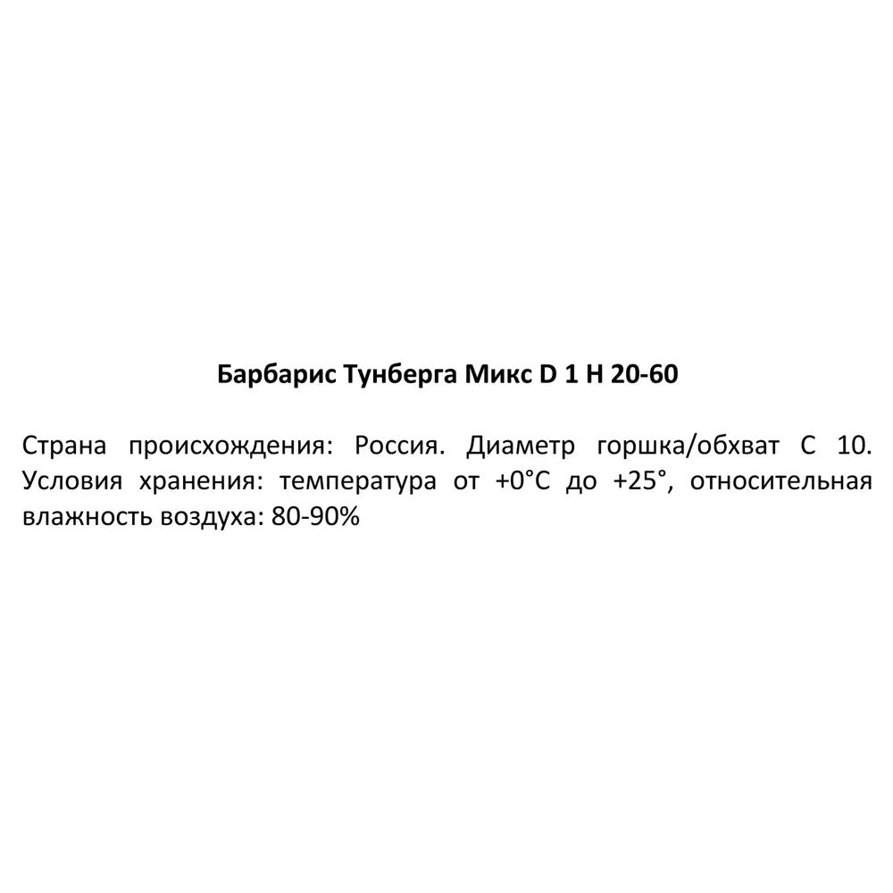 Фото 3 Барбарис Тунберга микс ø17 h20-60 см Фото 3 Барбарис Тунберга микс ø17 h20-60 см