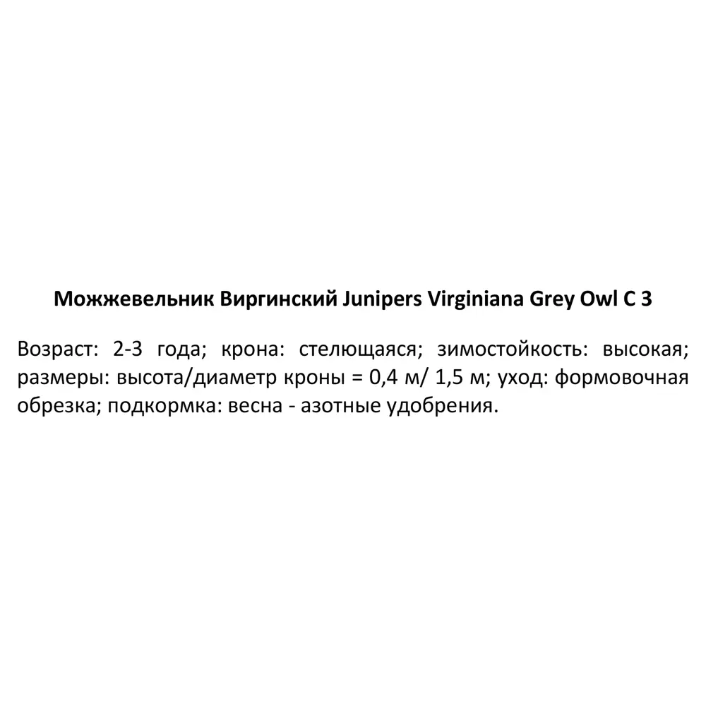 Фото 3 Можжевельник виргинский Грей Оул ø19 h30 см Фото 3 Можжевельник виргинский Грей Оул ø19 h30 см