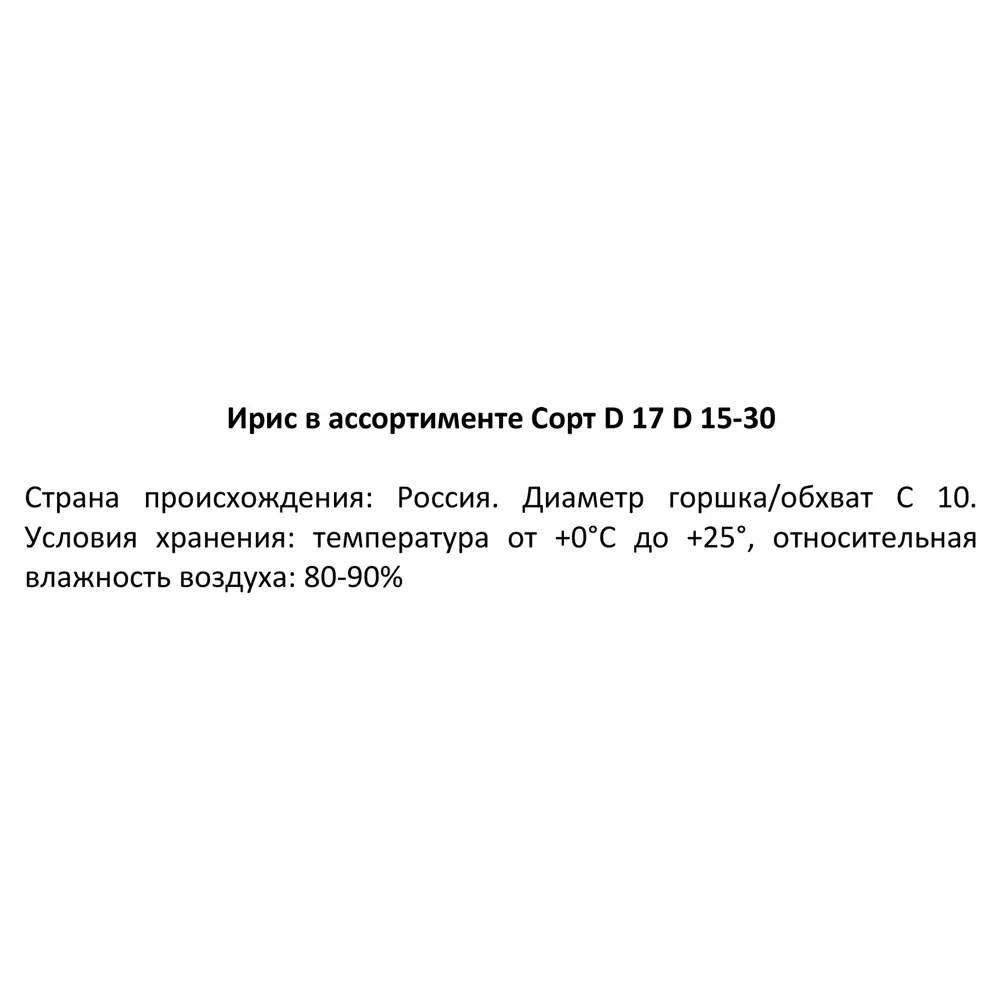 Фото 3 Ирис микс ø17 h15-30 см Фото 3 Ирис микс ø17 h15-30 см