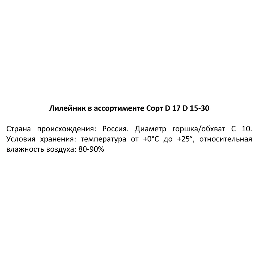 Фото 3 Лилейник микс ø17 h15-30 см Фото 3 Лилейник микс ø17 h15-30 см