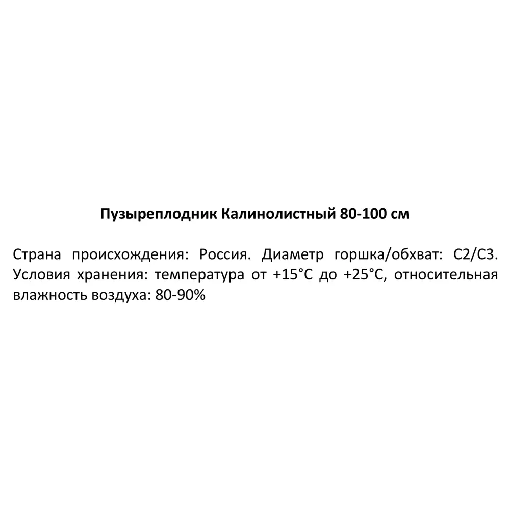 Фото 4 Пузыреплодник Калинолистный h80-100 см Фото 4 Пузыреплодник Калинолистный h80-100 см