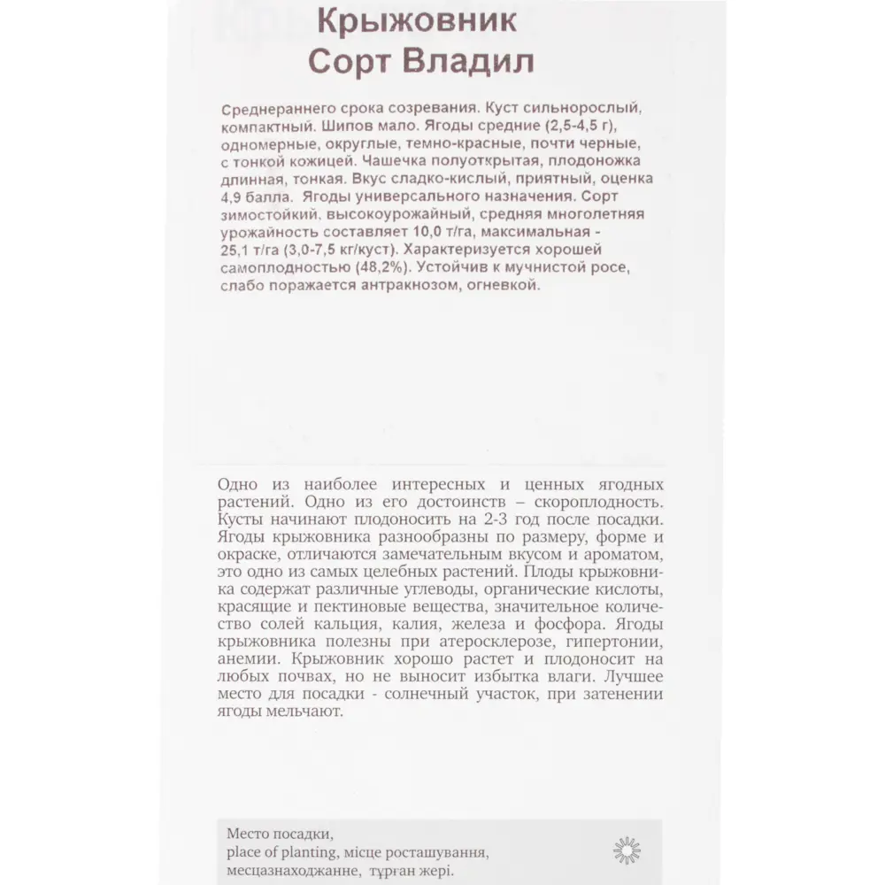 Фото 3 Крыжовник Владил Фото 3 Крыжовник Владил