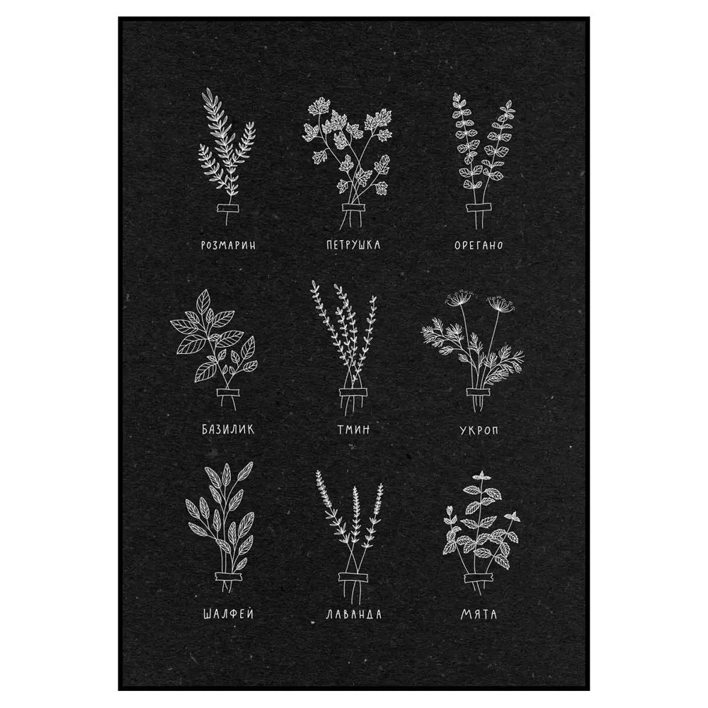 Фото 2 Постер 28 картин "Виды трав для кухни" 70x50 см