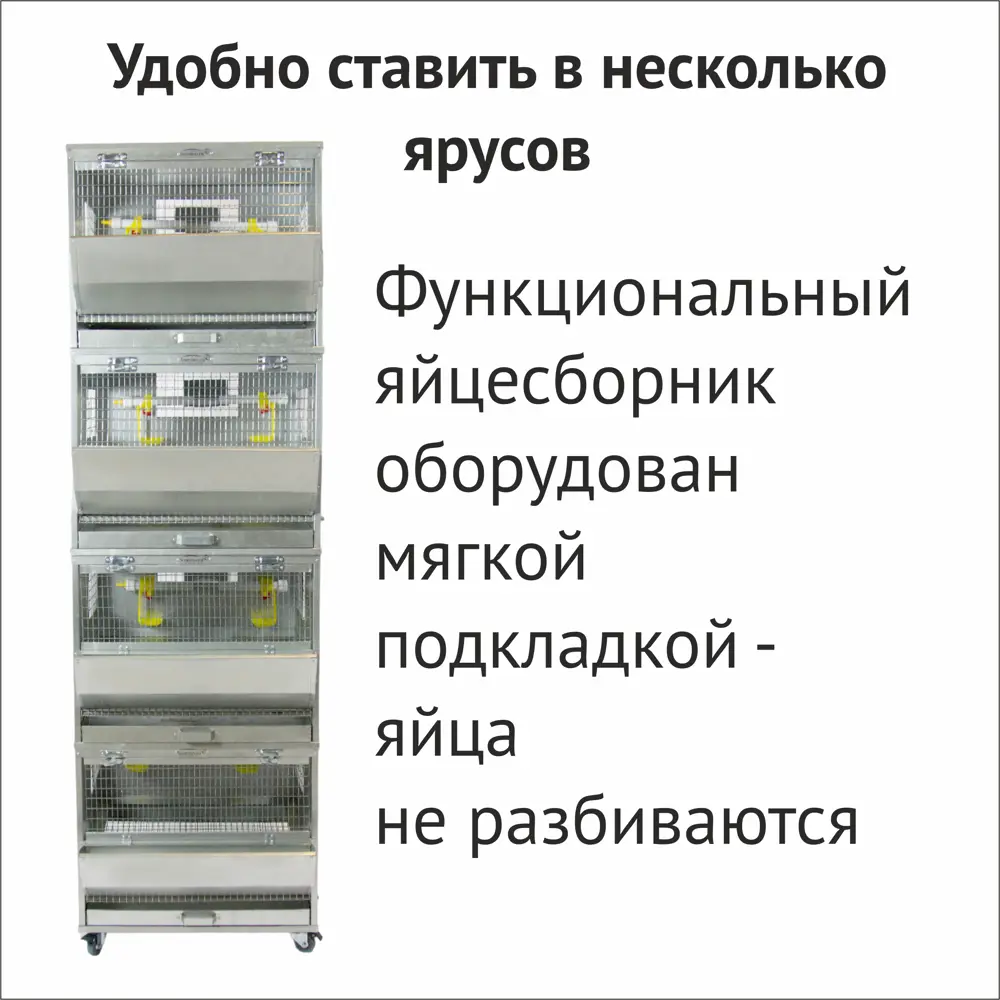 Фото 4 Клетка для кур несушек Домоферма Сомино 58 до 7 голов Фото 4 Клетка для кур несушек Домоферма Сомино 58 до 7 голов