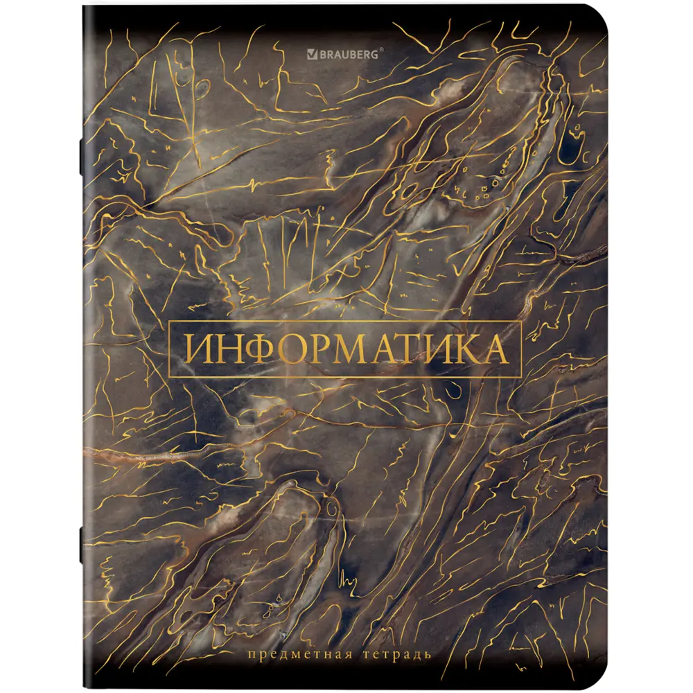 Фото 10 Тетради предметные школьные со справочным материалом в клетку/линейку Комплект 12 Предметов Marble, 48 л., SoftTouch, фольга Brauberg 404326 Фото 10 Тетради предметные школьные со справочным материалом в клетку/линейку Комплект 12 Предметов Marble, 48 л., SoftTouch, фольга Brauberg 404326