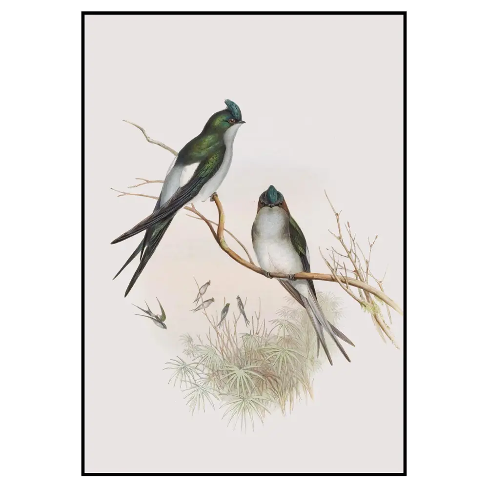 Фото 2 Постер 28 картин "Ласточки иллюстрация" 70x50 см Фото 2 Постер 28 картин "Ласточки иллюстрация" 70x50 см